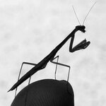 陳尚平自介照片