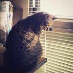 Winnie