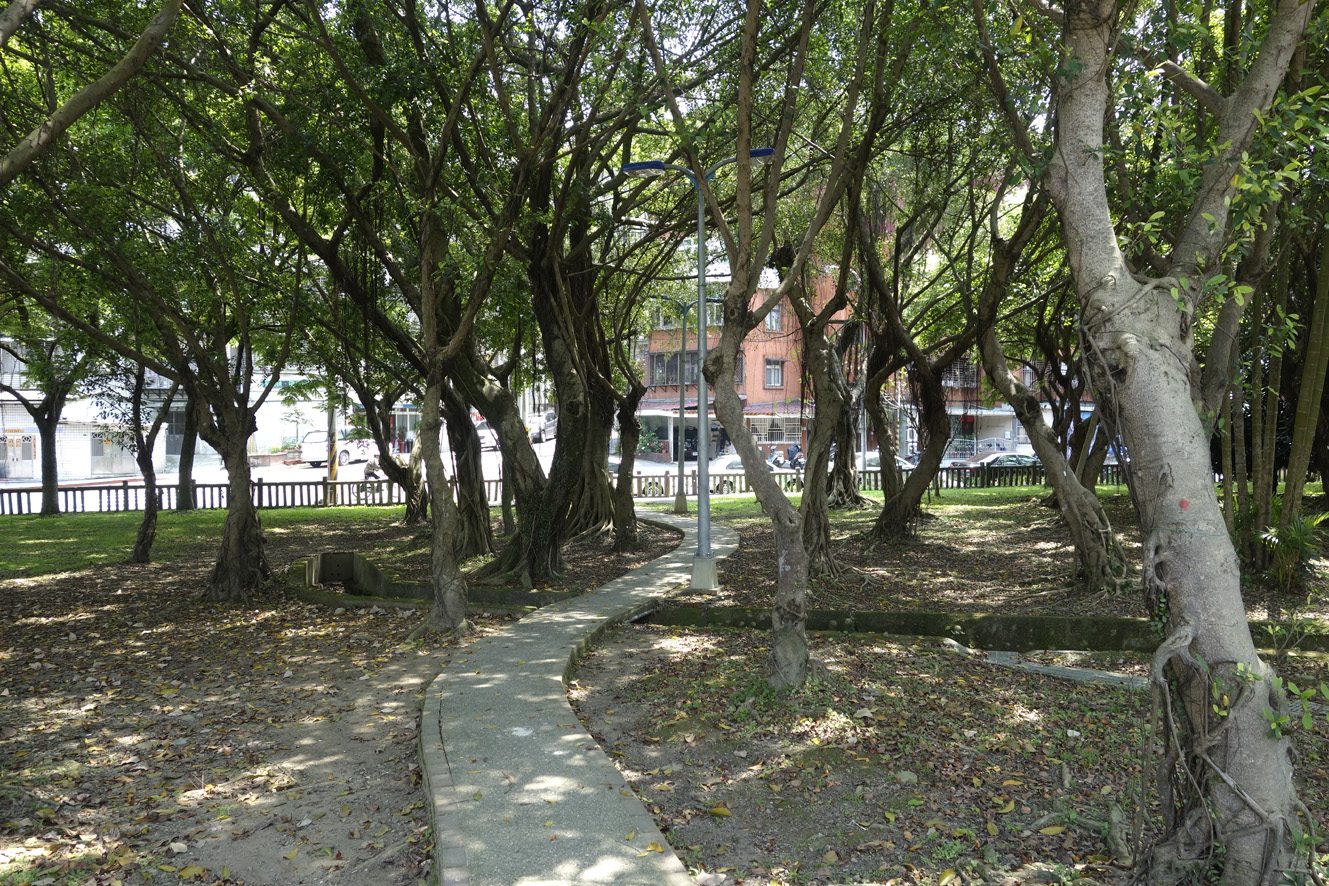 我們的公園 Park I：臺灣公園現況