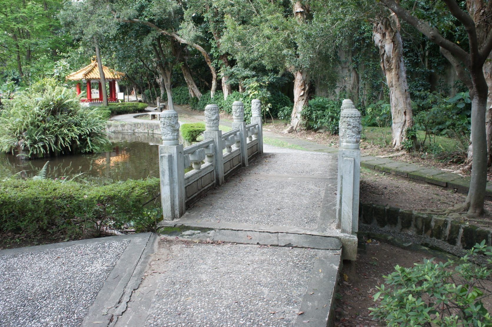 SONY DSC