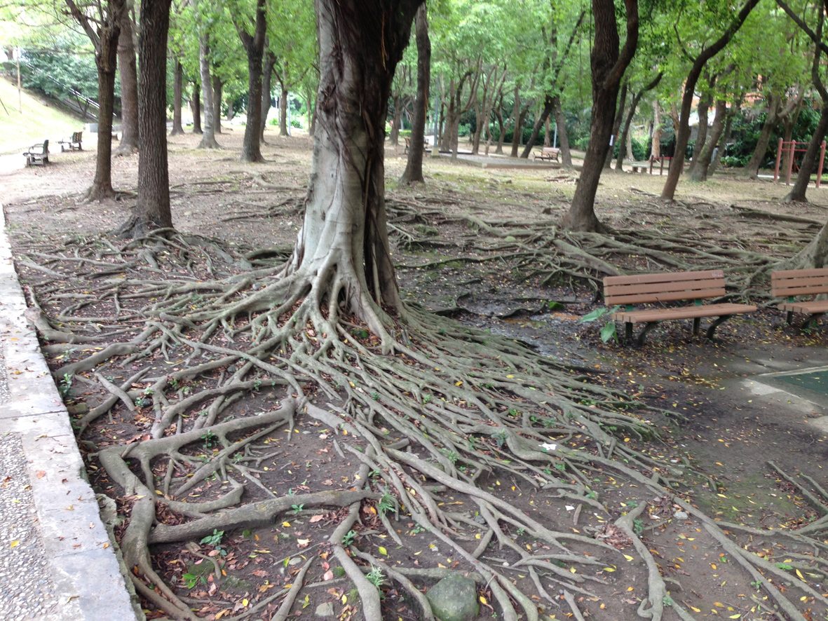 我們的公園 Park I 臺灣公園現況16