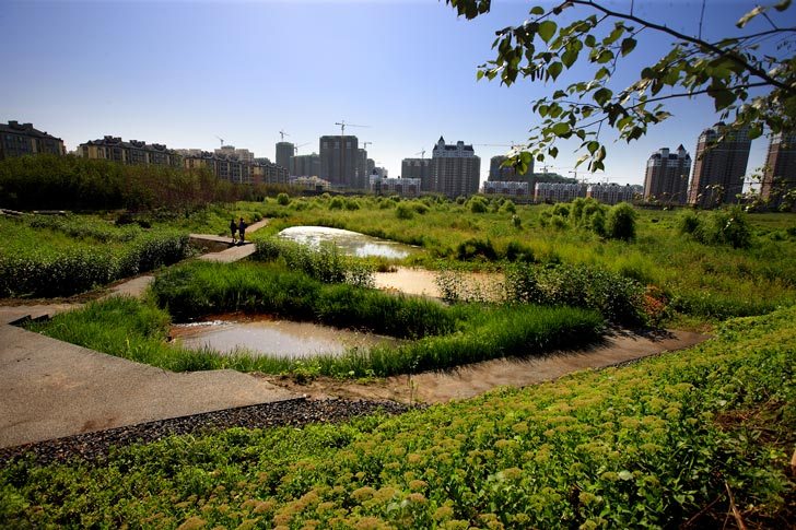 我們的公園Park II ：永續生態公園的願景02