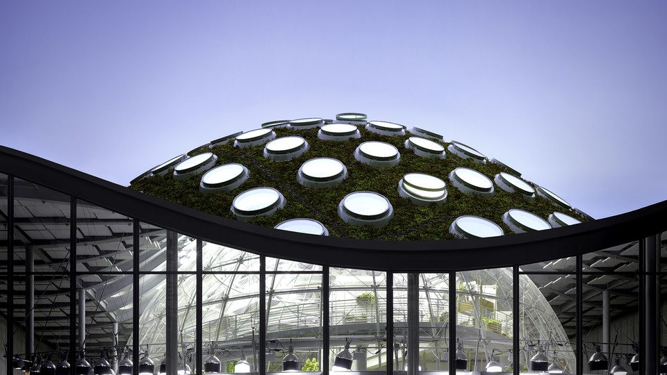 California Academy of Sciences Location: San Francisco, California Architect: Renzo Piano Building Workshop