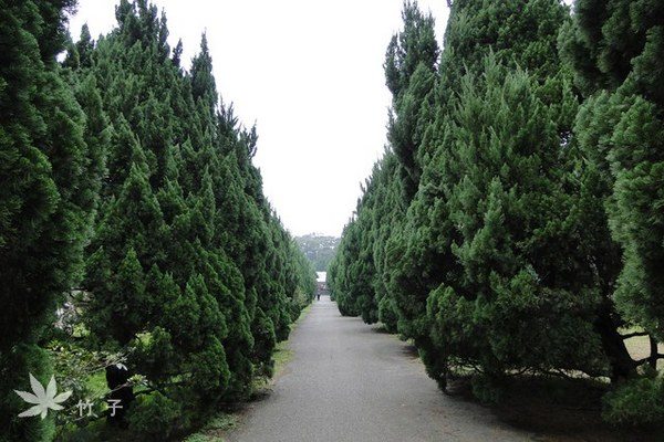 我們的公園Park II ：永續生態公園的願景11