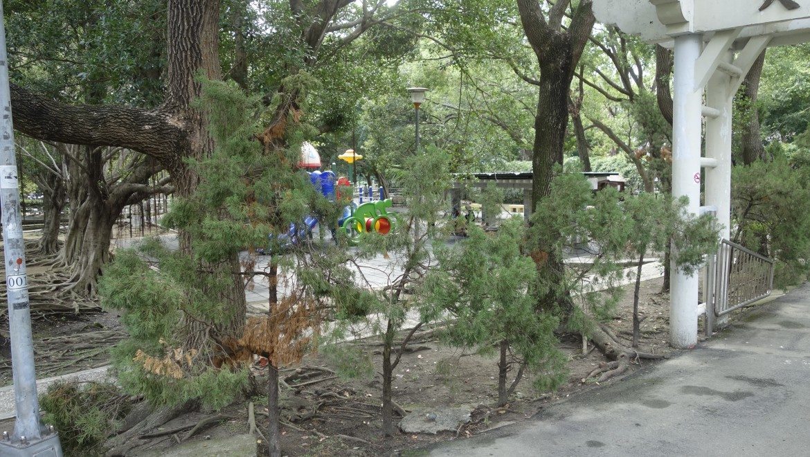 我們的公園Park II ：永續生態公園的願景12