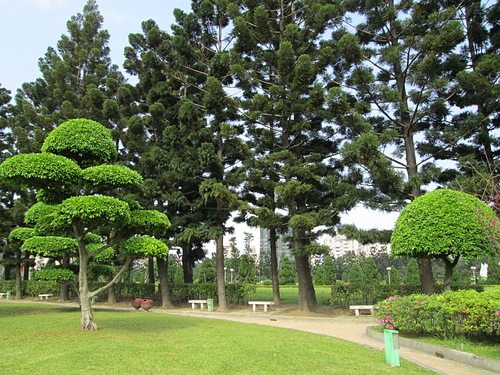 我們的公園Park II ：永續生態公園的願景13