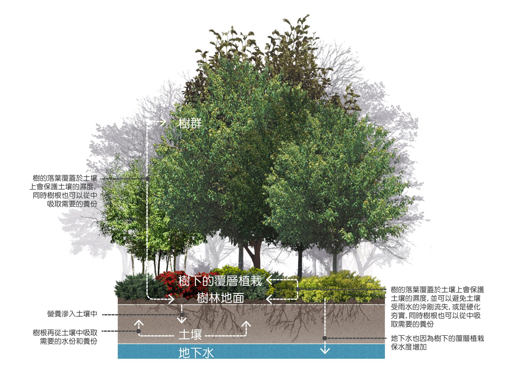 我們的公園Park II ：永續生態公園的願景20
