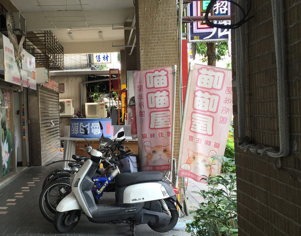 人行道行步行31
