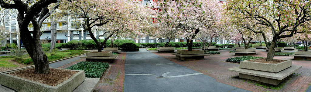 10-washington