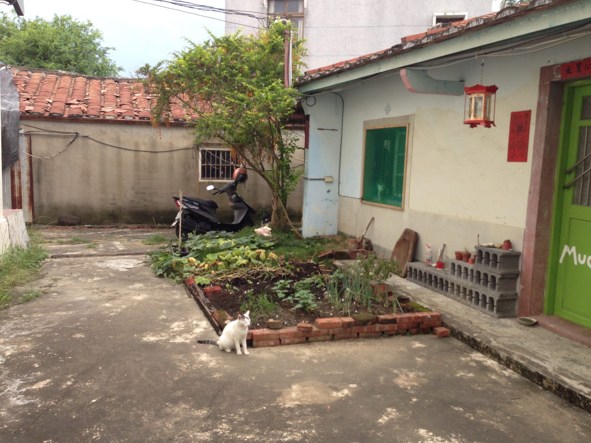 我住在山村大崎 06
