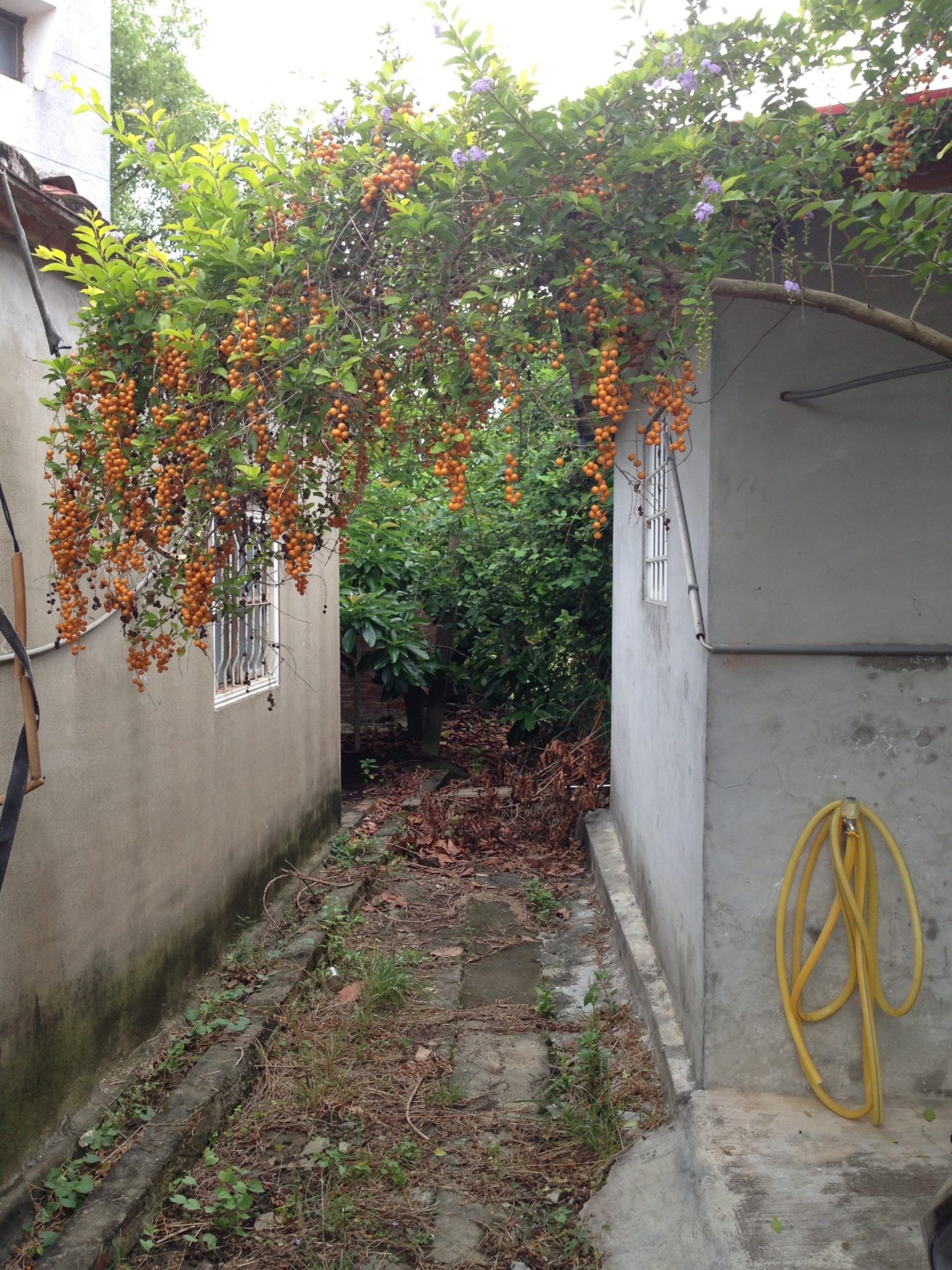 我住在山村大崎09