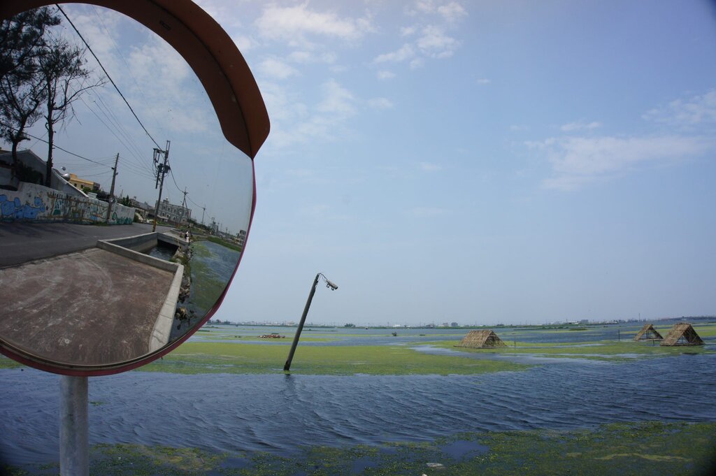 SONY DSC