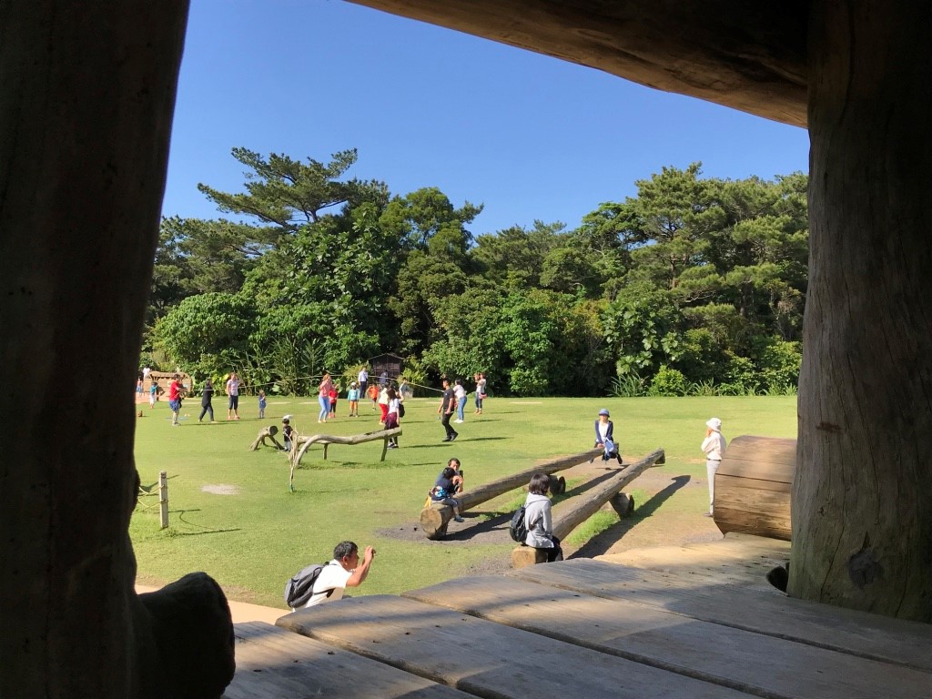 為了孩子好，就讓他們在戶外玩得遍體鱗傷吧！