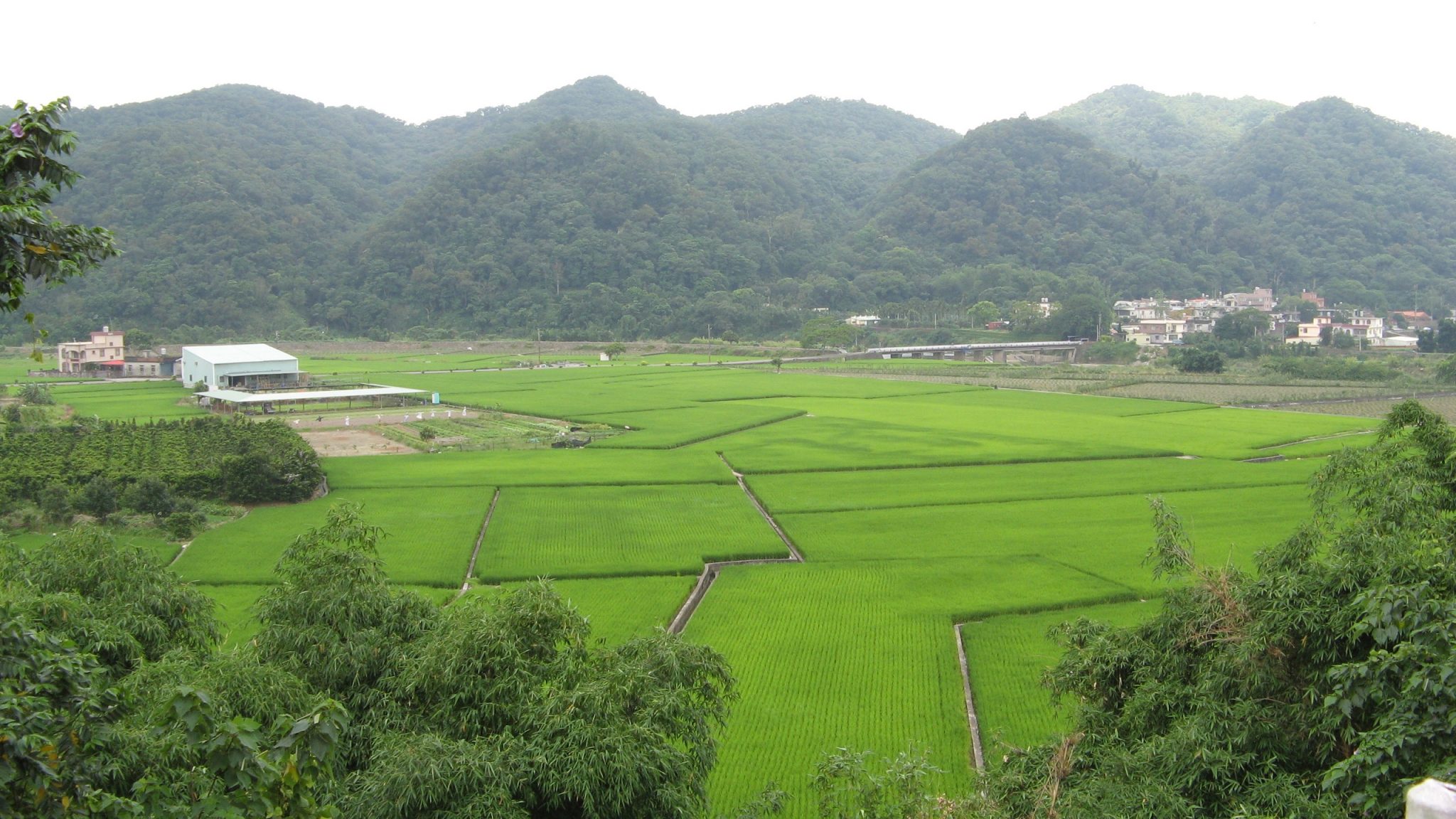 不平等合約鎖死農地，1萬公頃淪暴利修羅場