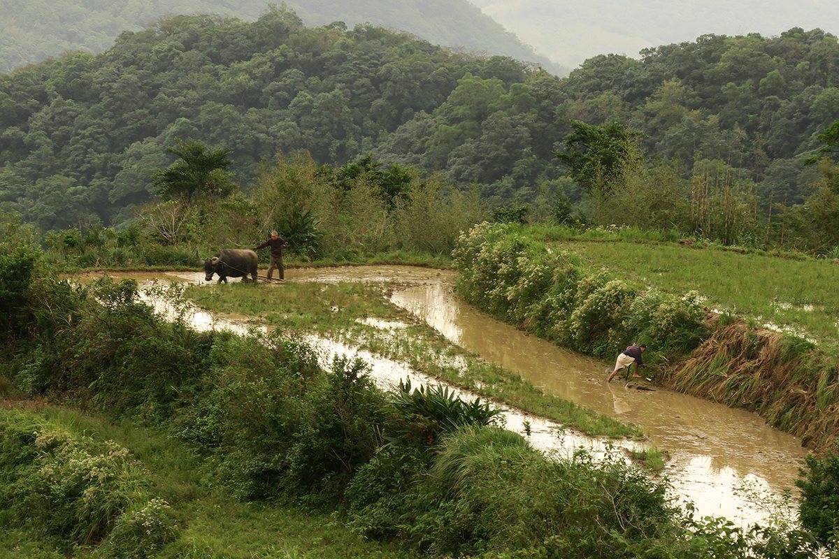 抓好距離，準備降落：貢寮和禾水梯田