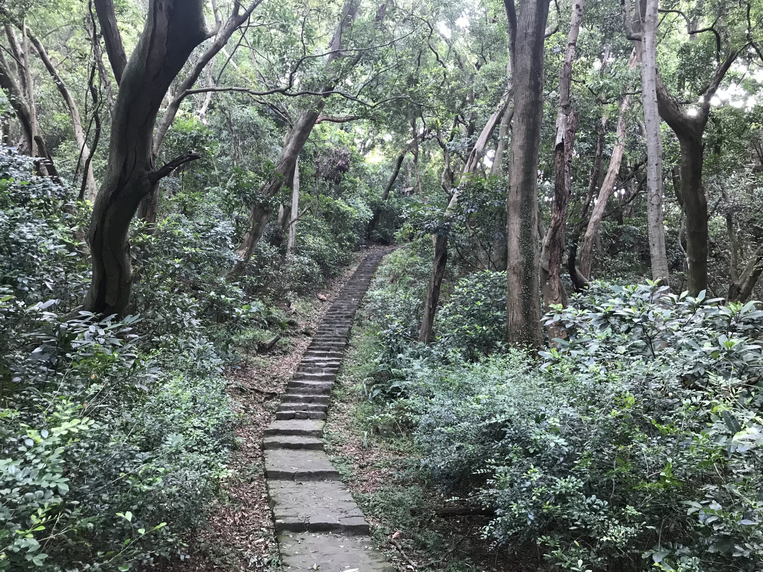 用身體的感官閱讀地景・日常健行的感觀分享