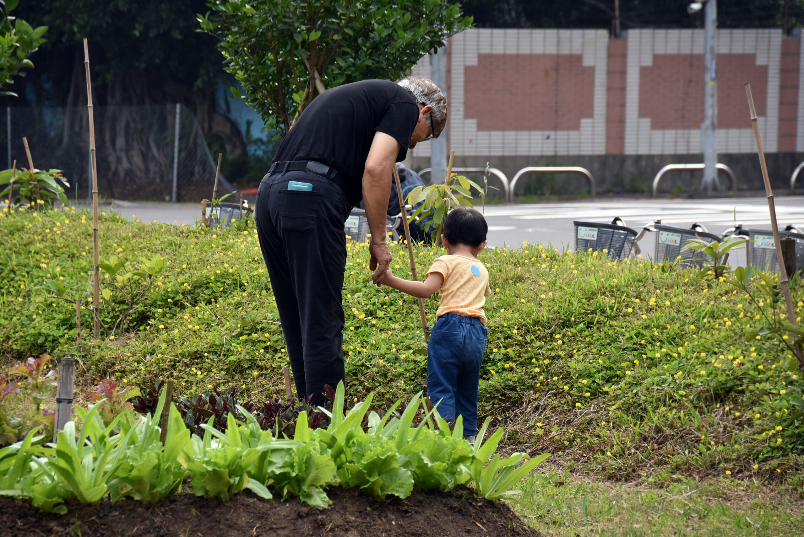 Together we grow－食物森林由西雅圖落地新竹的奇幻旅程