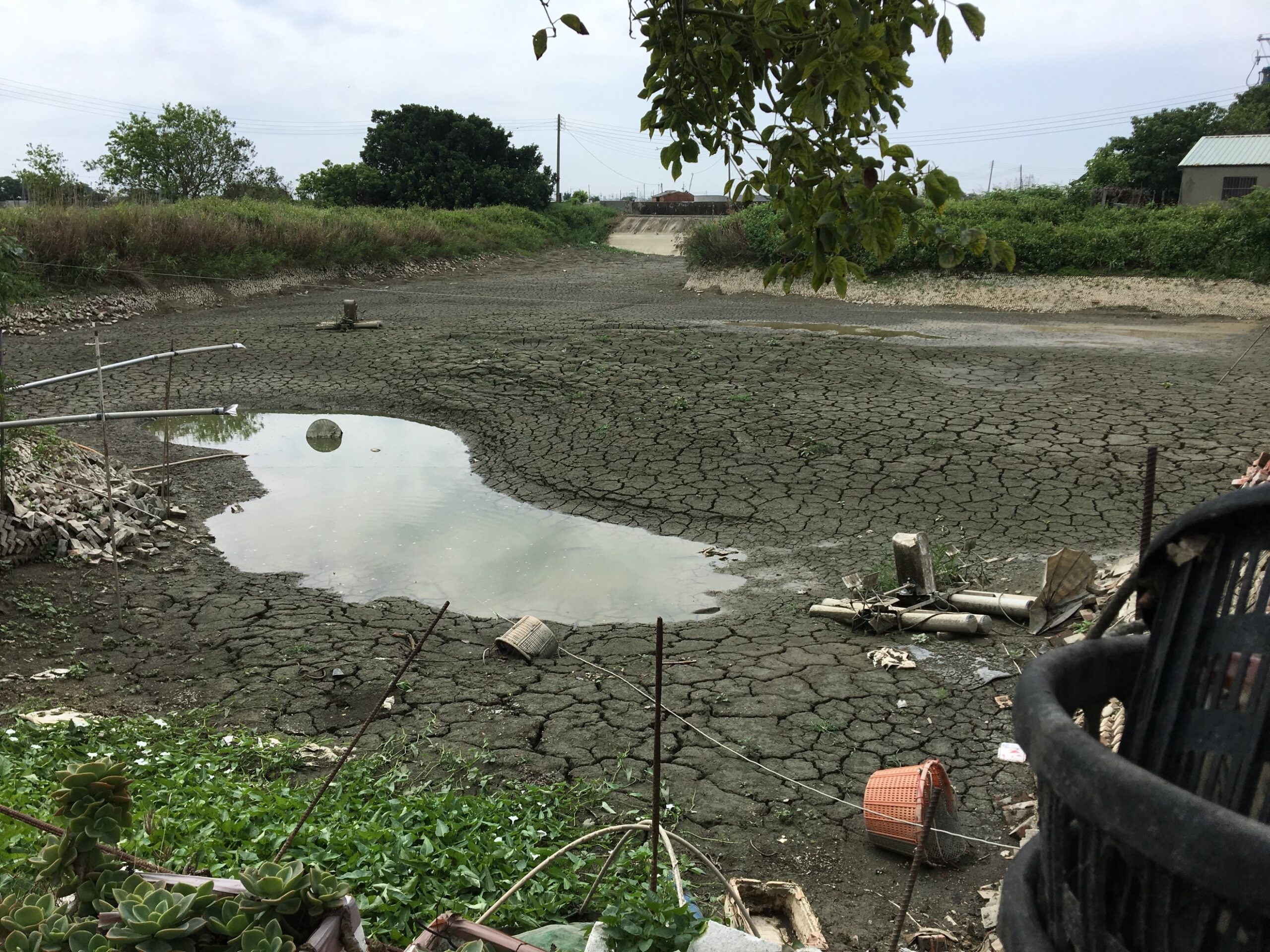 韌性東石：產業與塭仔老人家的日常