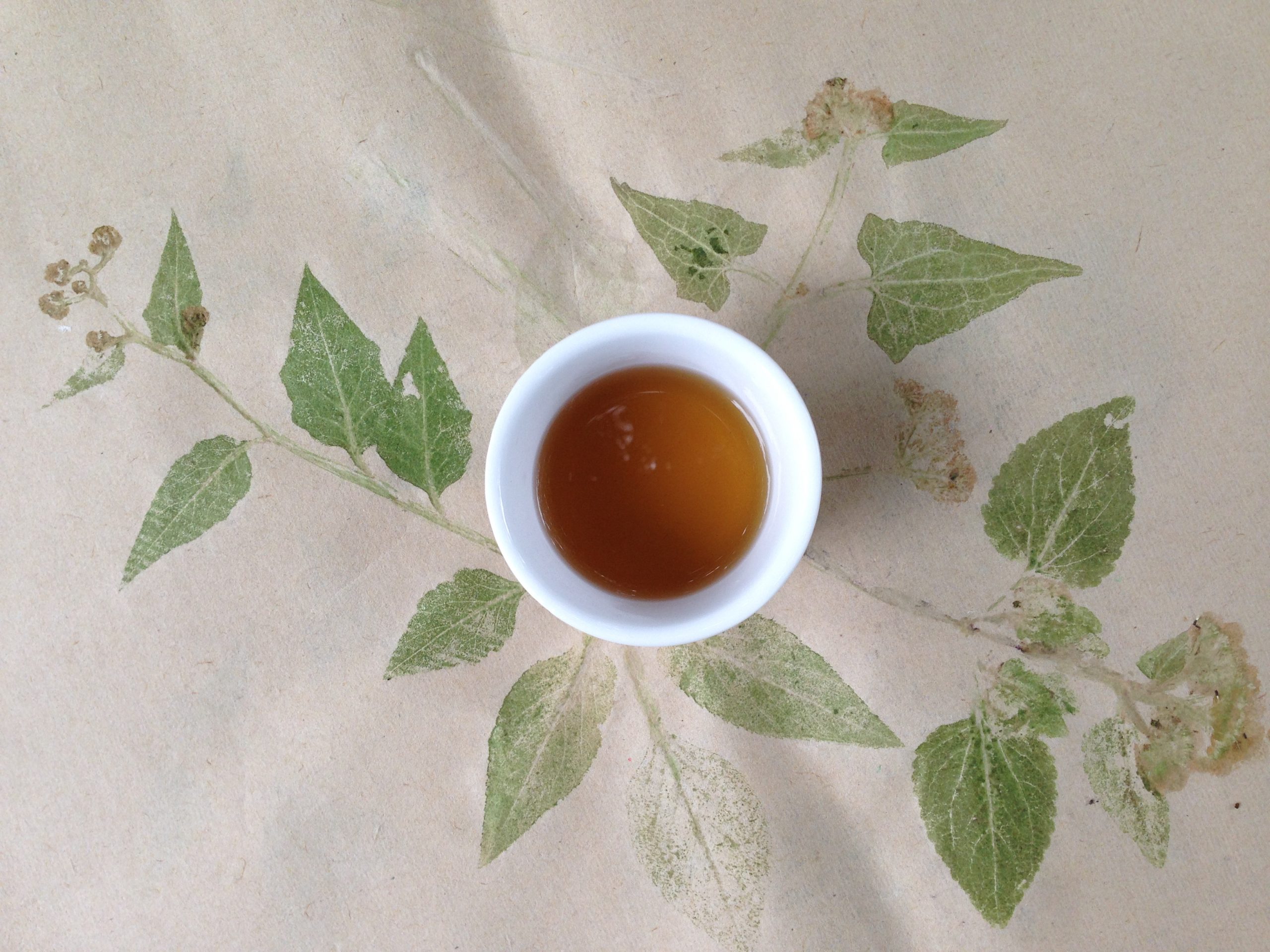 你的雜草是我的寶貝：眼底城事ft.雜草稍慢（下）