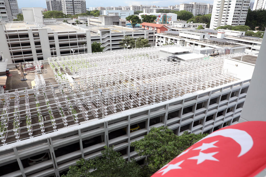 Citiponics的城市垂直農場位於Ang Mo Kio Avenue 6座700座多層停車場的屋頂上。更多此類屋頂農場將用於公開招標。