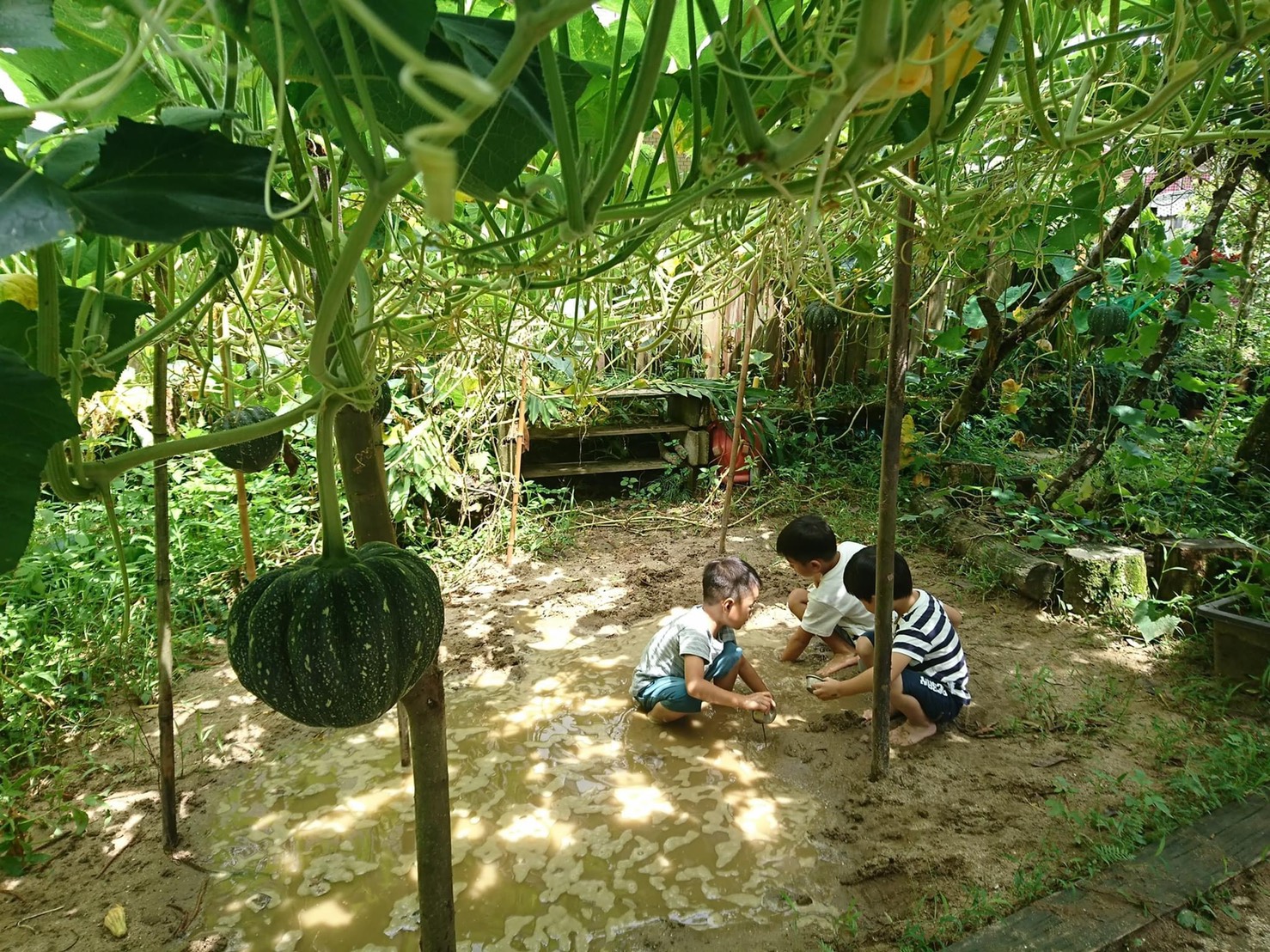 自然就在社區裡，社區就在自然中 —讓孩子能在都市公園自然遊戲