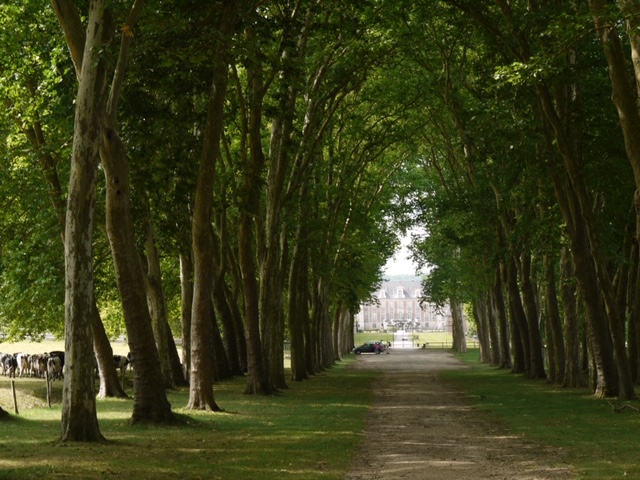 厚、薄、冷、暖：特瘦公園與青綠軸帶雛論 Through the Thick and Thin : On Thin Parks and the Viridic Axes