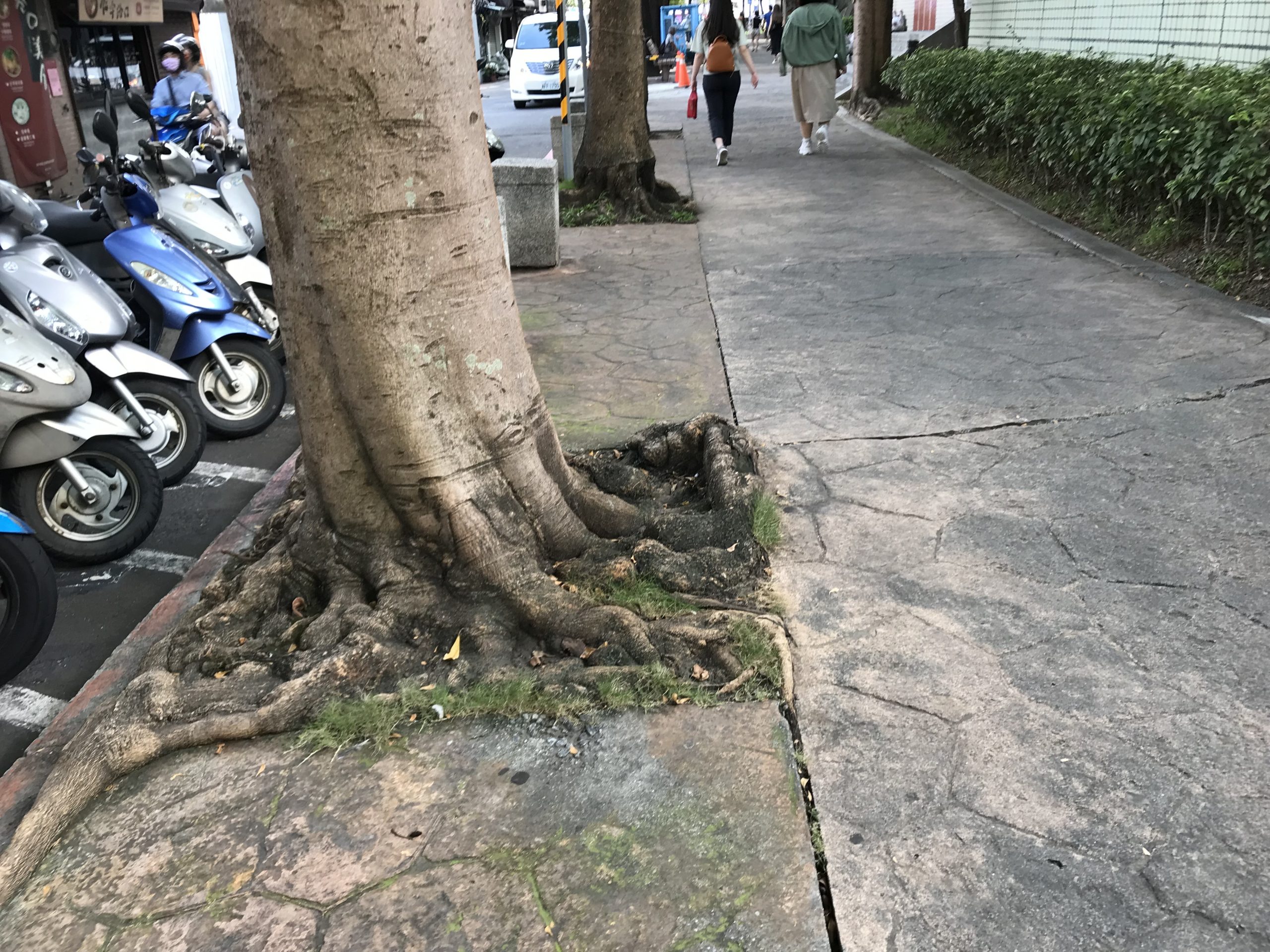 別讓巨人裹小腳！阻(導)根板的錯誤使用，成為台灣道路安全隱憂！
