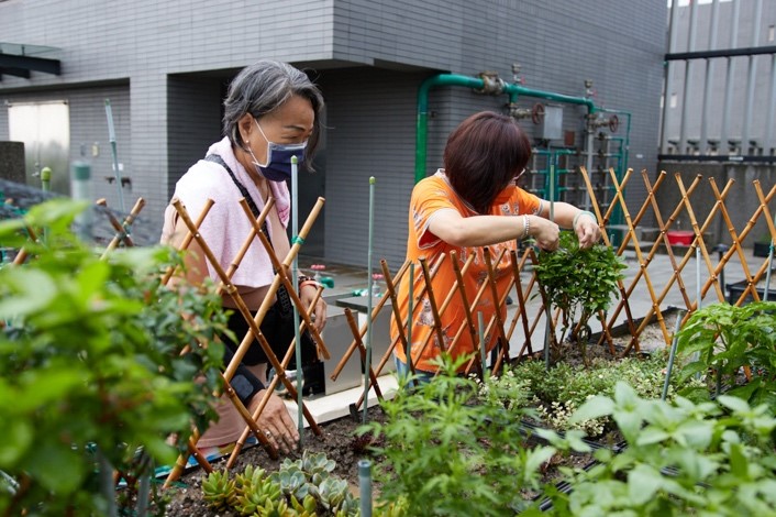 漂泊的靈魂能靠岸嗎──高齡社會中的社宅長輩故事