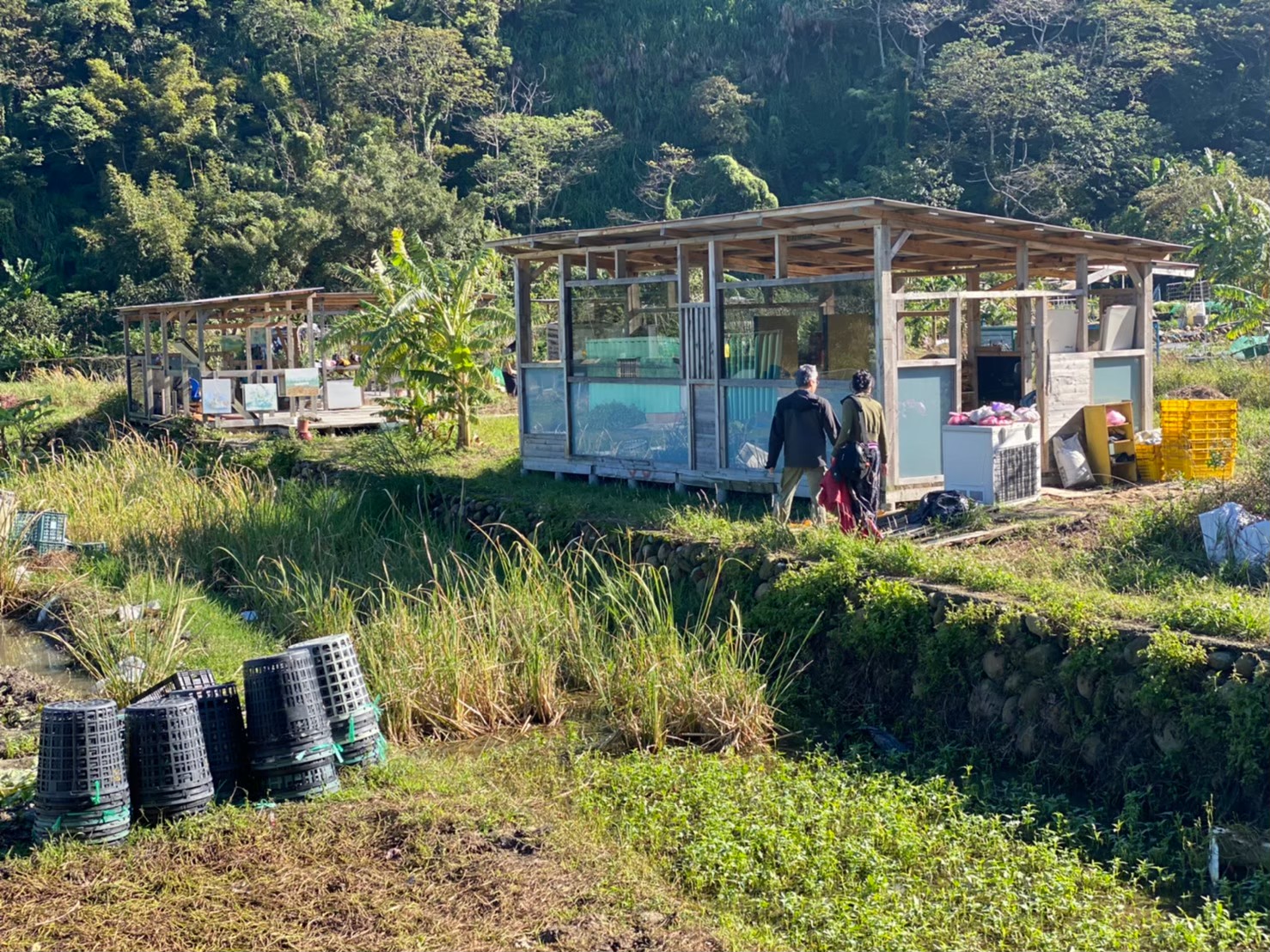 在社宅裡，共織一張更大的網：從林口社宅看居住中的社會照顧