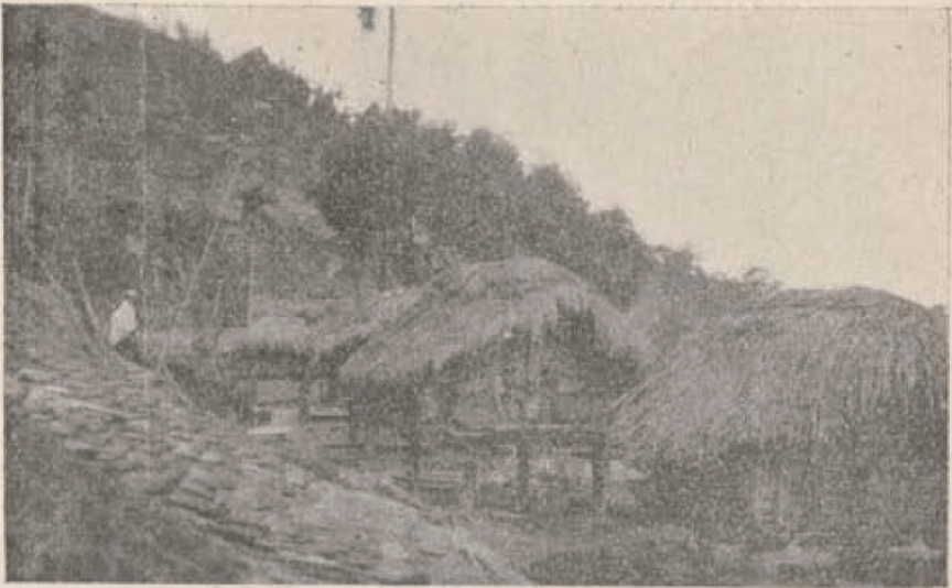 日本時代的農林改造計畫，如何成為臺灣原住民無法承受之重