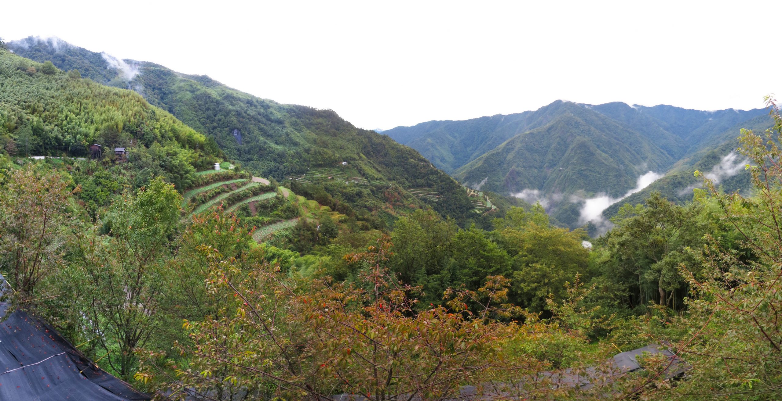 北泰雅原住民族特定區域計畫：地方知識與土地正義的行動