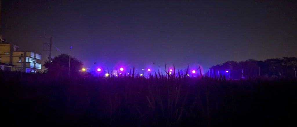 農業照明如何減光害 彰化田間實測火龍果加燈罩有效