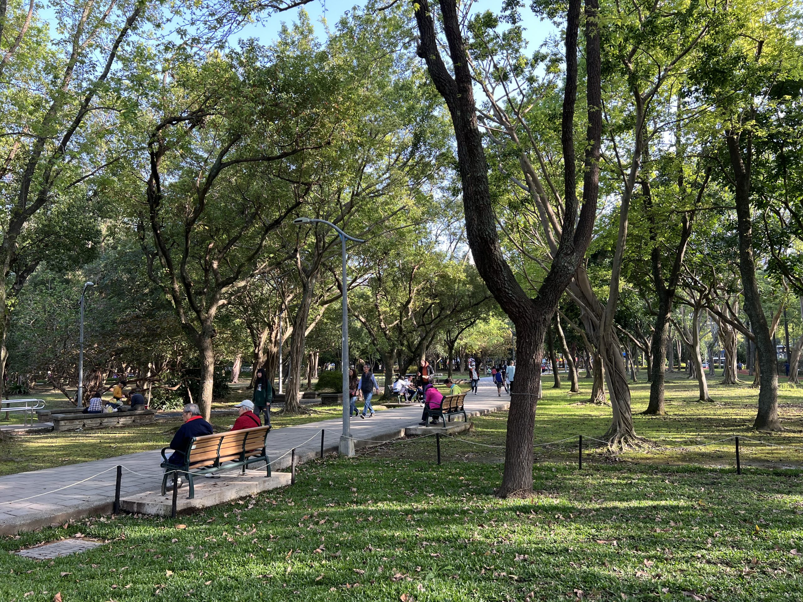 說書：《我高齡，我想去公園玩》