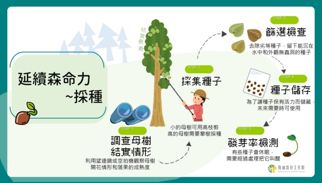 延續森命力—採種