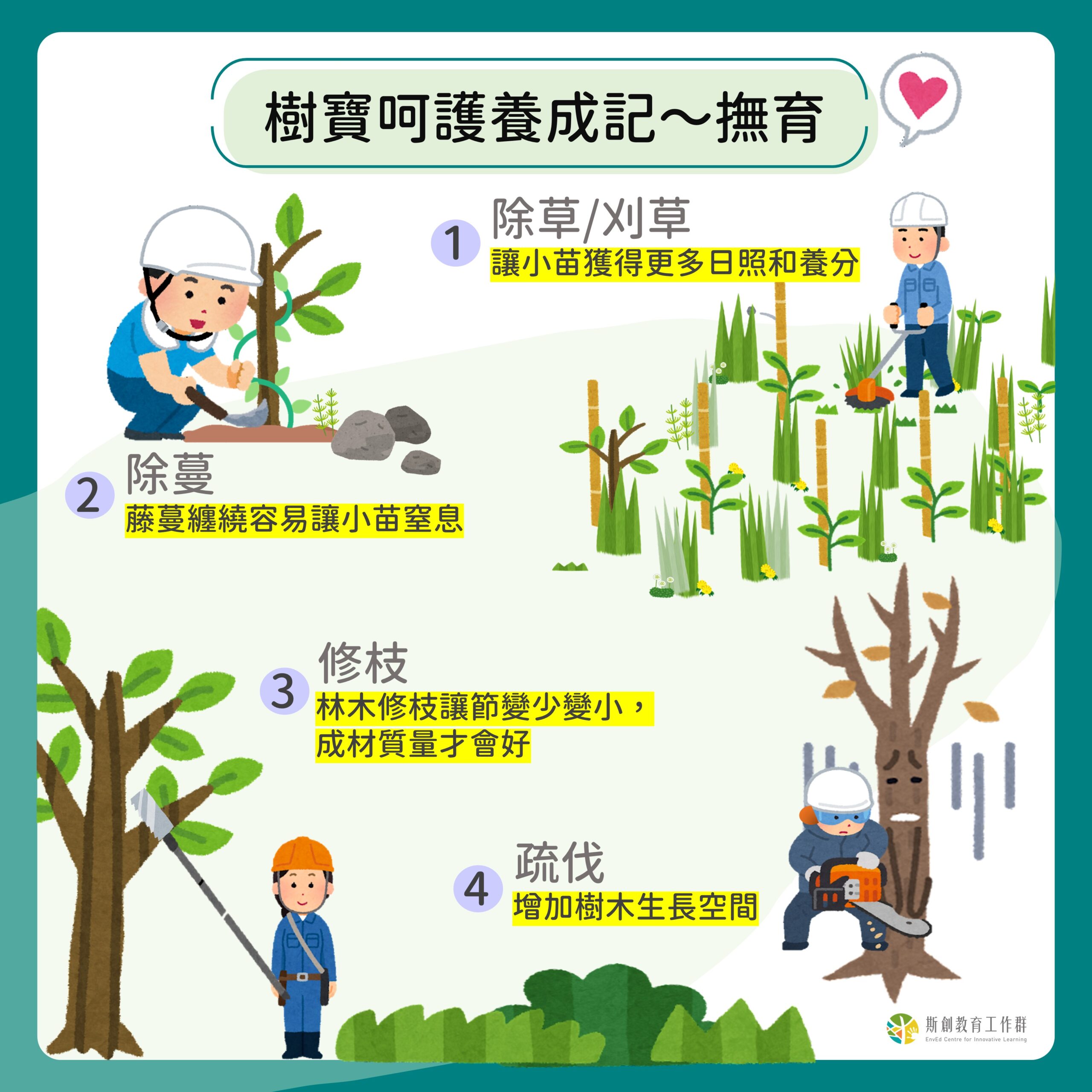 樹寶的呵護養成記—撫育