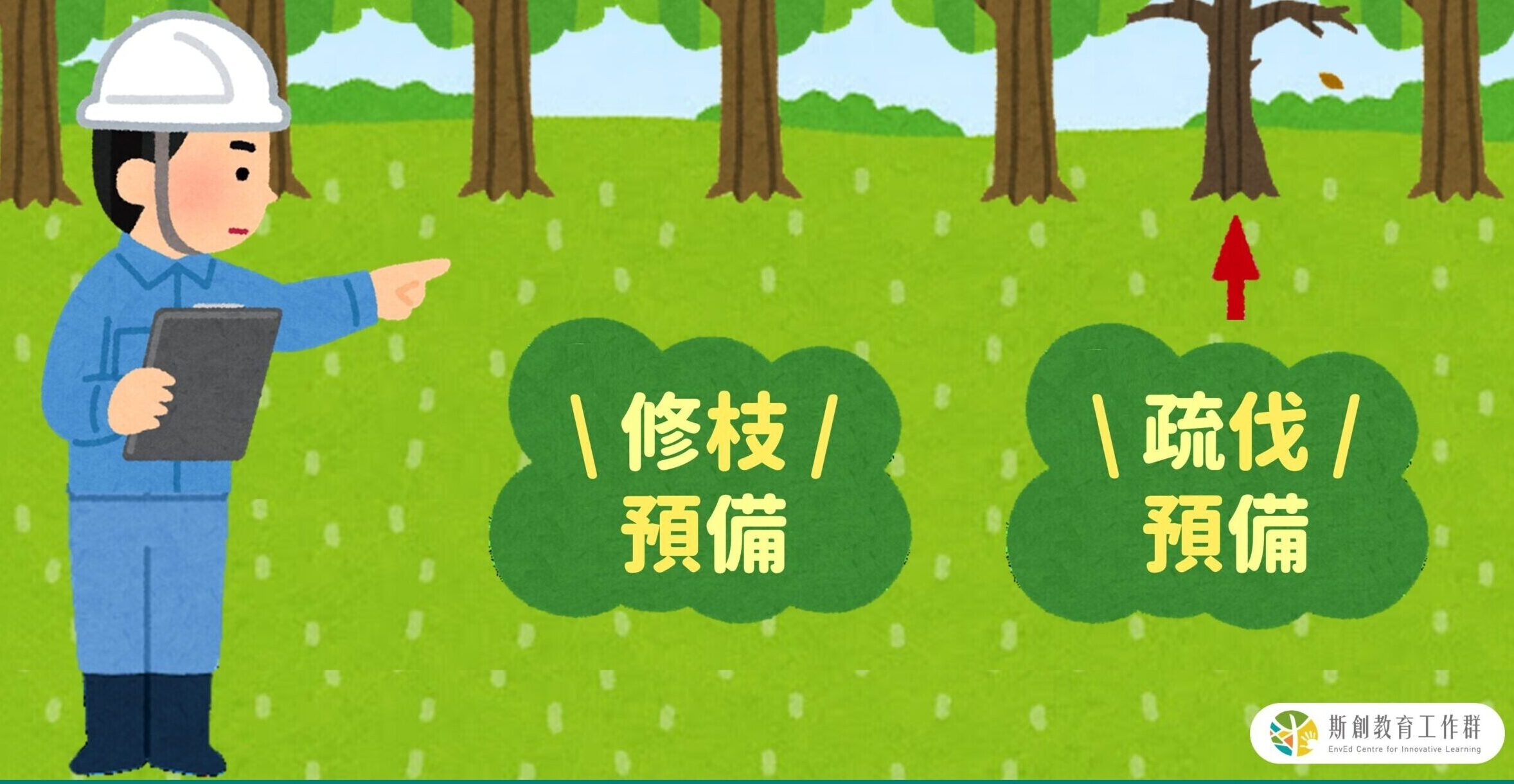 森林夢工廠—撫育(2)