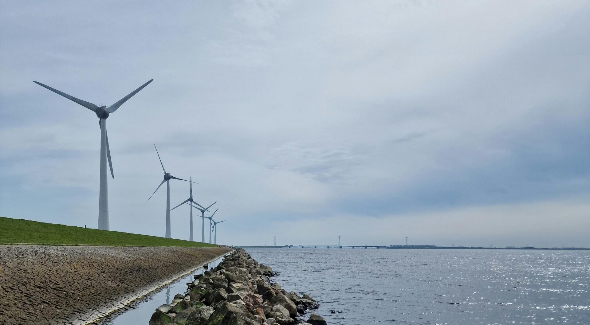 西部海線的日常：彰化海域的漁業，鳥類與離岸風電