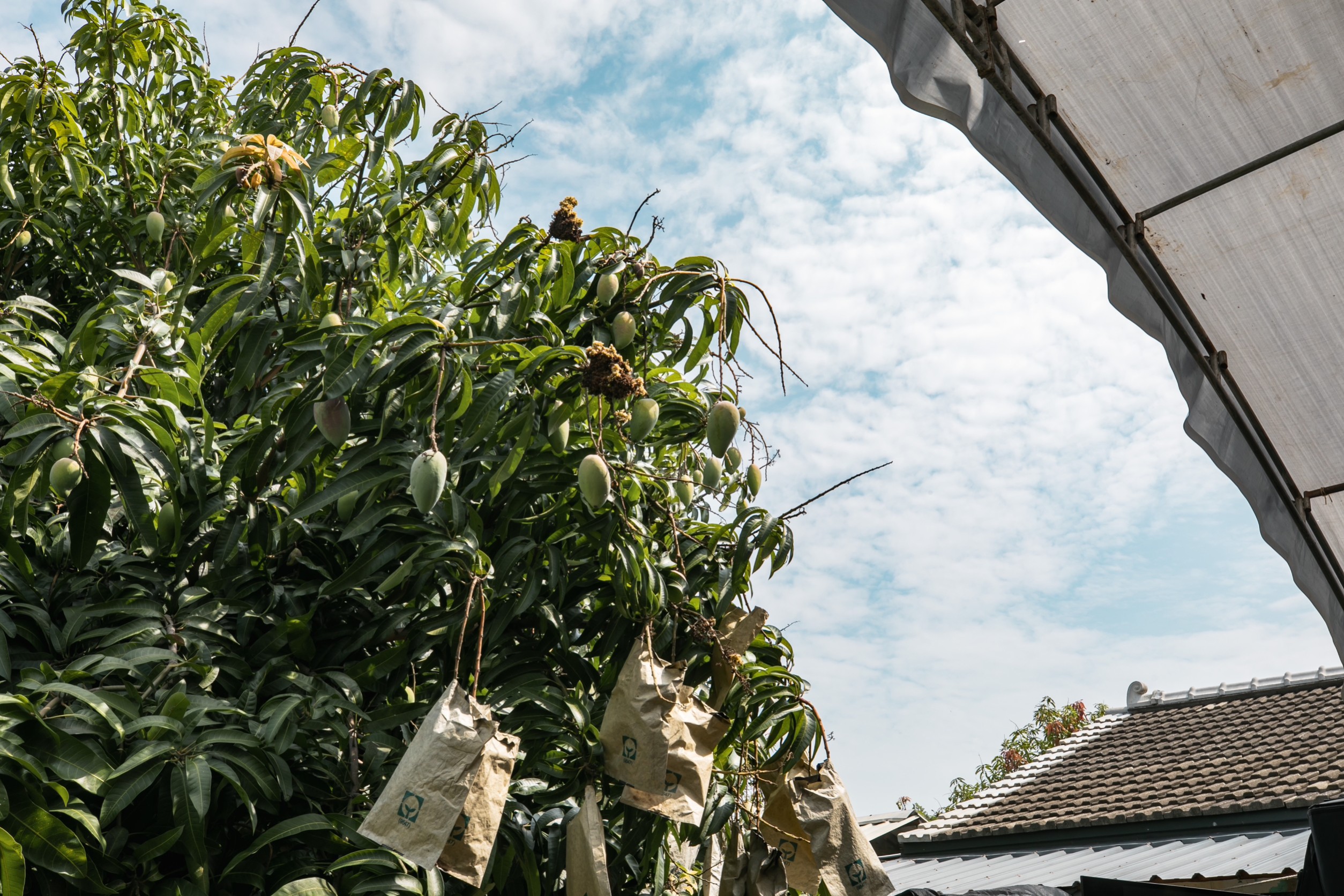 七月專題導論：地方創生的地方創傷