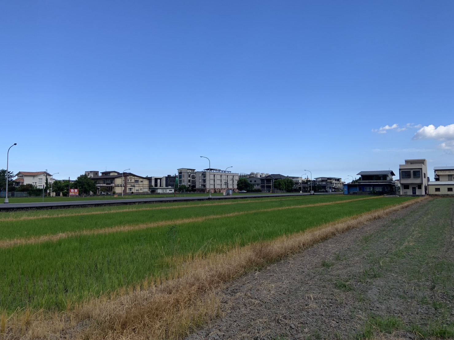 在飛馳的高鐵之下銘記風土：一個在地人的回憶與省思