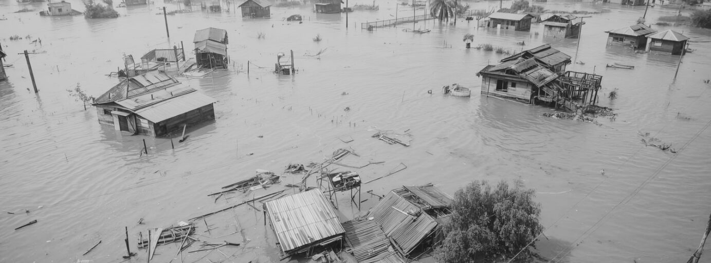 韌性概念的命題更新：一直走，一起走，並保有冗餘的走
