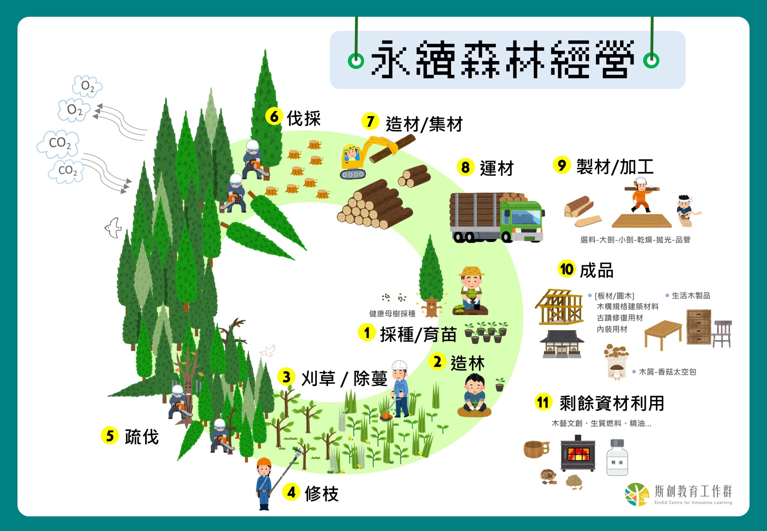 森林經營，有趣又永續